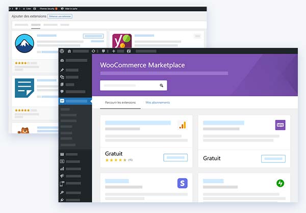 Qu'est ce qu'un module Woocommerce