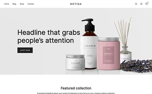 Theme WooCommerce Botiga