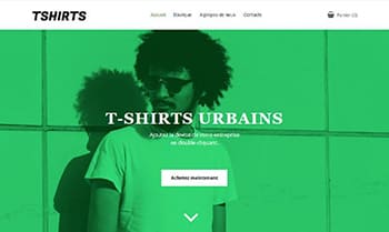 Template site ecommerce